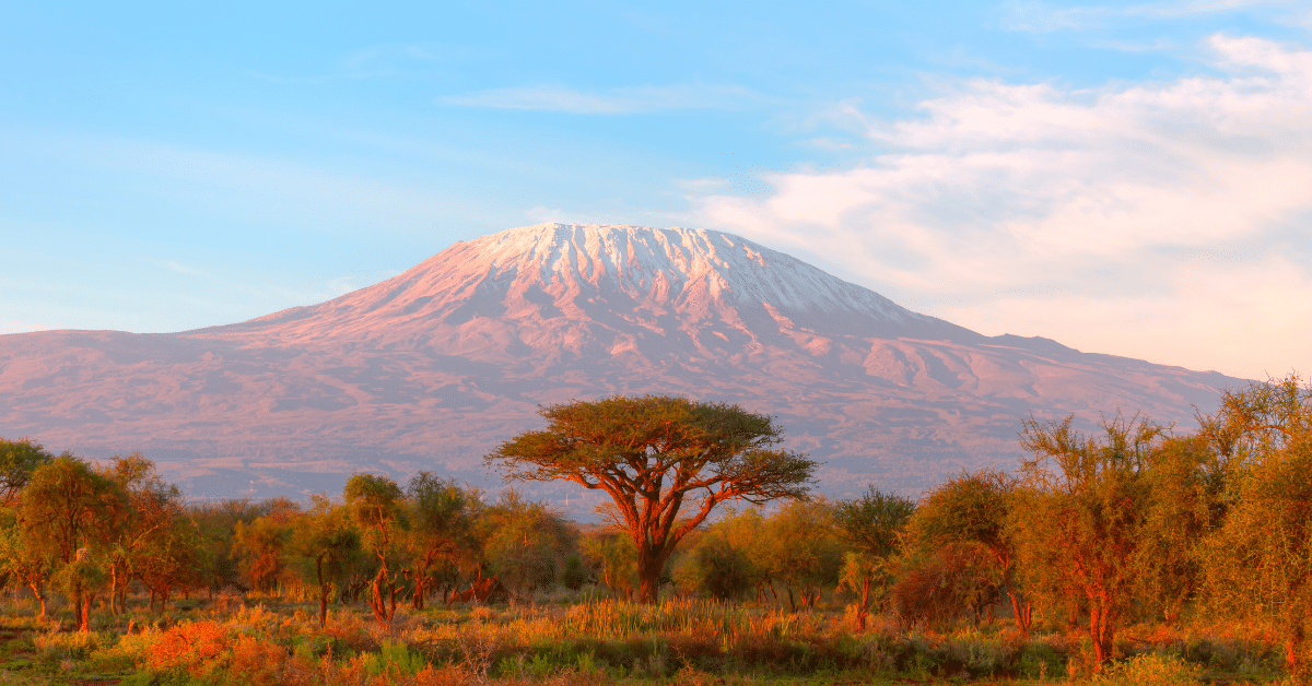 Kilimanjaro Arusha