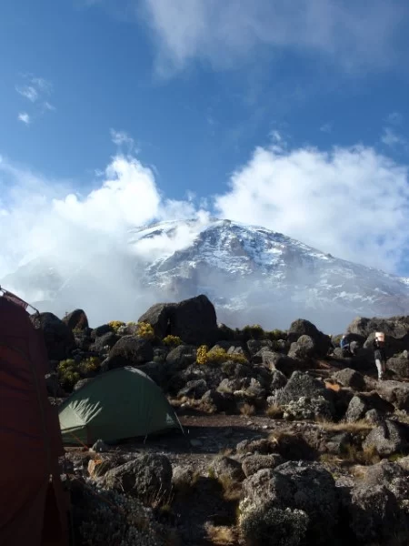 What's Included | Kilimanjaro Trekking and Safari Tour Operators